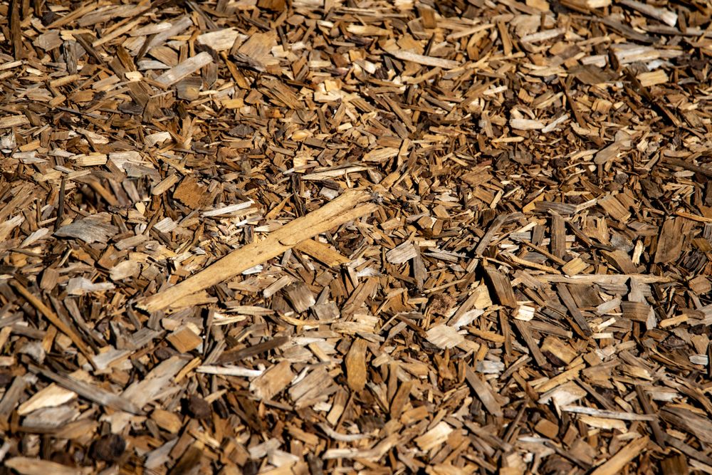 Fresh shredded bark mulch in a planting bed