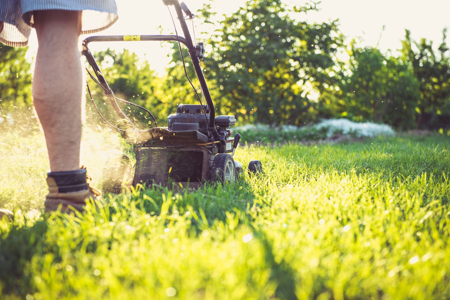 Cedar Ridge Lawn & Landscape demo site