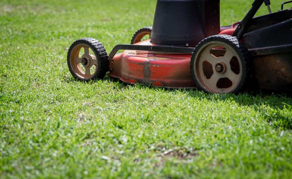 A mower cutting a stripe through thick green grass