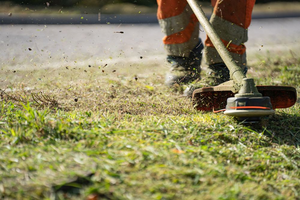 A string trimmer finishing the edge of a lawn